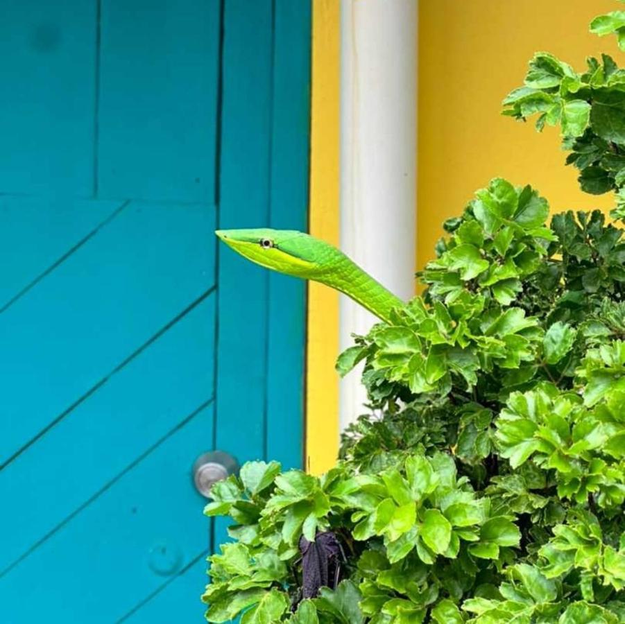 Casa Marbella Villa Tortuguero Exteriör bild
