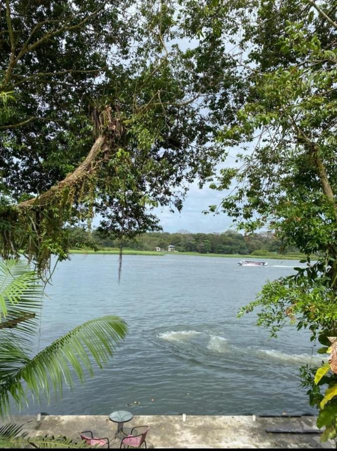 Casa Marbella Villa Tortuguero Exteriör bild